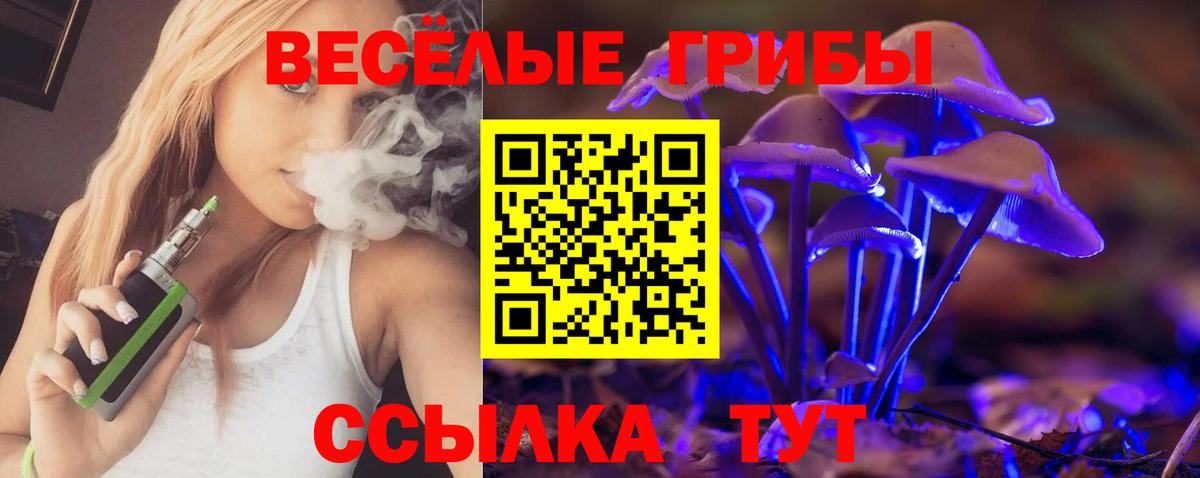 Псилоцибиновые грибы Psilocybine cubensis  купить закладку  Анапа  Вход с VPN 